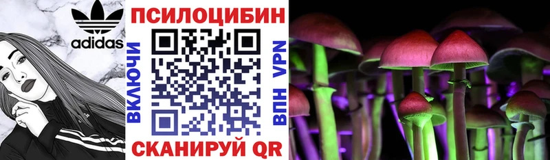 МЕГА ССЫЛКА  Кызыл  Галлюциногенные грибы мухоморы 